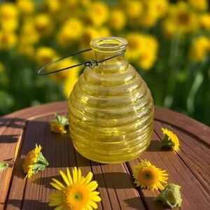 Beehive Glass Hanging Container